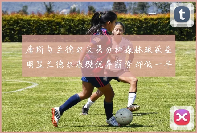 唐斯与兰德尔交易分析森林狼获益明显兰德尔表现优异薪资却低一半