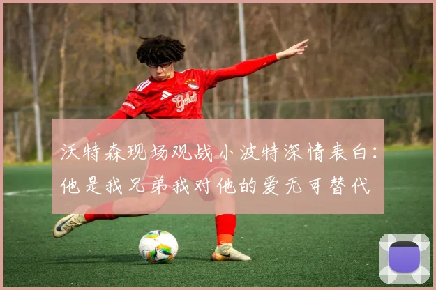 沃特森现场观战小波特深情表白：他是我兄弟我对他的爱无可替代